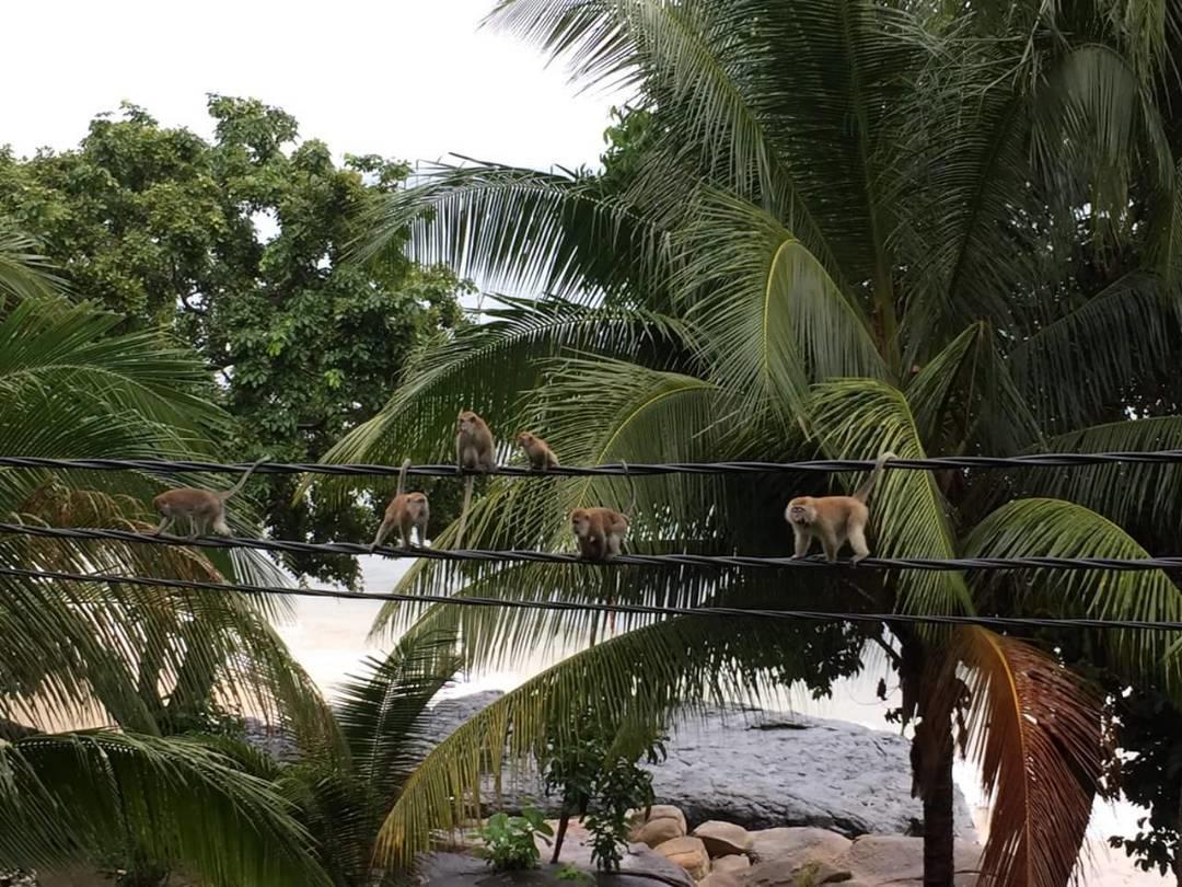 Simukut Place Kampong Pasir Sanang Burong Εξωτερικό φωτογραφία
