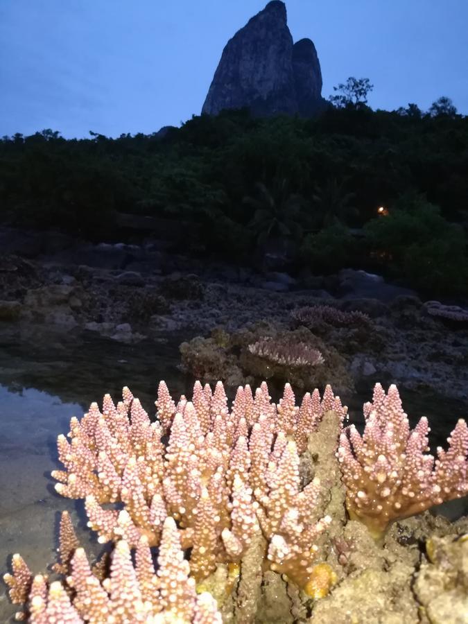 Simukut Place Kampong Pasir Sanang Burong Εξωτερικό φωτογραφία